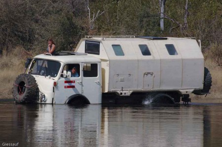 Okavango Delta Botswana