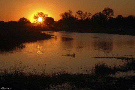 Okavango Delta Botswana